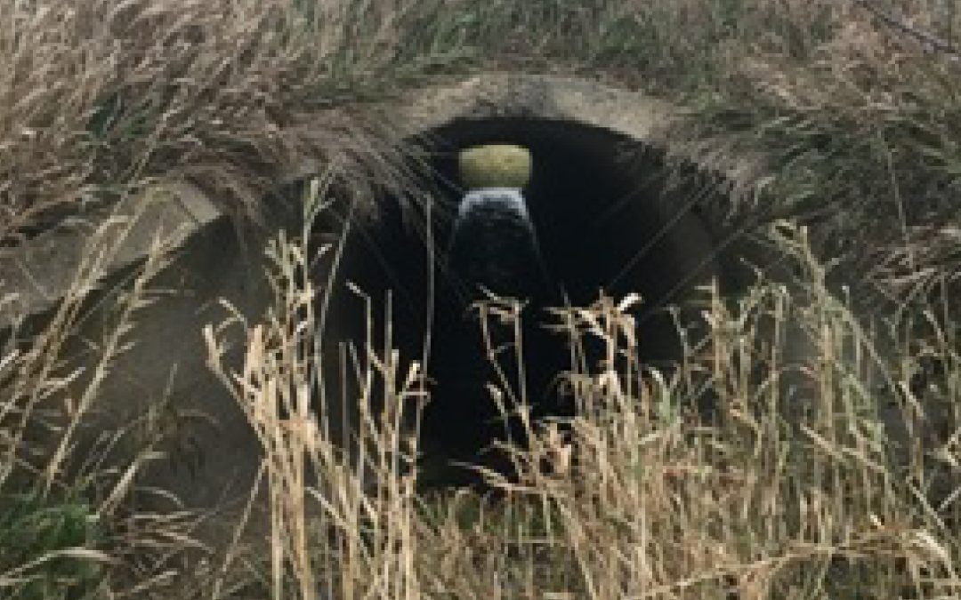 TH-12 Mill and Inlay – Culvert Inspection